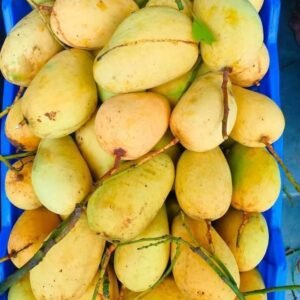 কাটিমন আম ১৫ কেজি