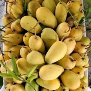 বারি ৪। ১৫ কেজি